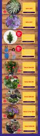 Terra Green Houses flyer week 19 Page 2