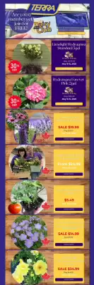 Terra Green Houses flyer (valid until 15-05)