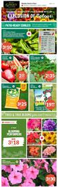 Lakeside Garden Gallery flyer week 19 Page 1