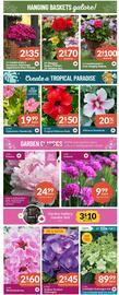 Lakeside Garden Gallery flyer week 19 Page 2