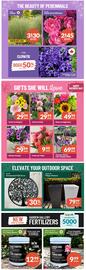 Lakeside Garden Gallery flyer week 19 Page 3