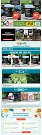 Lakeside Garden Gallery flyer week 19 Page 4