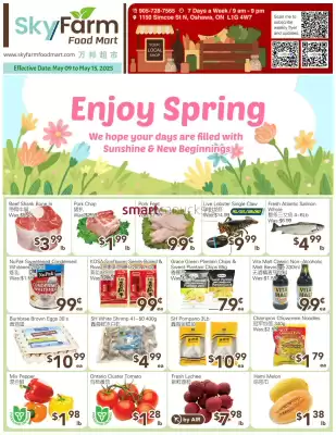Skyland Foodmart flyer (valid until 15-05)