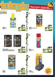 Volantino Zoomiguana Pagina 11
