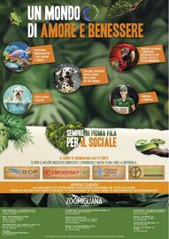 Volantino Zoomiguana Pagina 13