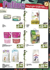 Volantino Zoomiguana Pagina 7