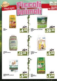 Volantino Zoomiguana Pagina 8