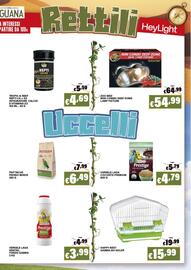 Volantino Zoomiguana Pagina 9