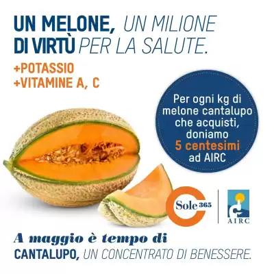 Volantino Sole 365