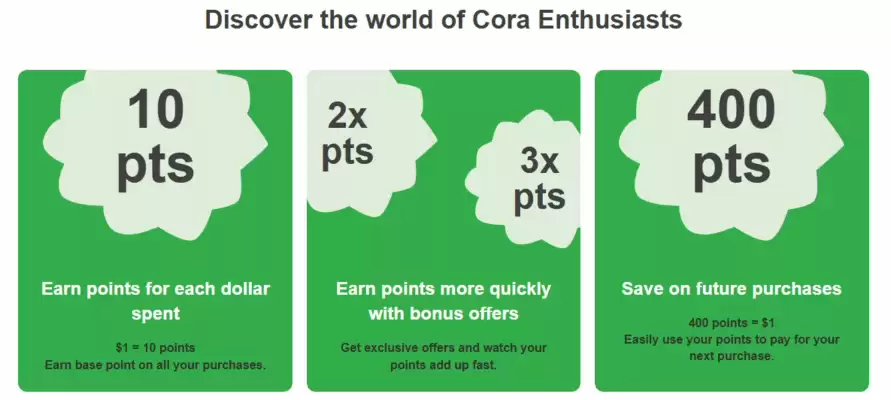 Cora flyer (valid until 15-05)