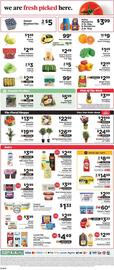 ShopRite Weekly Ad week 19 Page 10