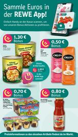 REWE tilbudsavis uge 20 Side 2