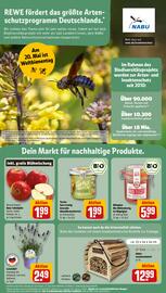 REWE tilbudsavis uge 20 Side 24