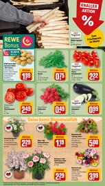 REWE tilbudsavis uge 20 Side 5