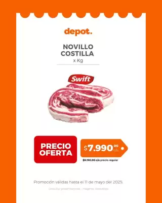 Catálogo Depot Express (válido hasta 11-05)