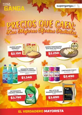 Catálogo Super Ganga (válido hasta 9-05)