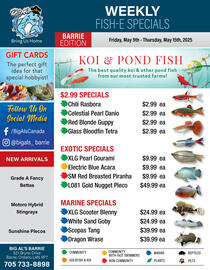Big Al's Pets flyer week 19 Page 1