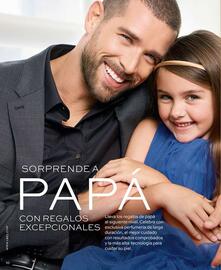 Catálogo L'bel Página 14