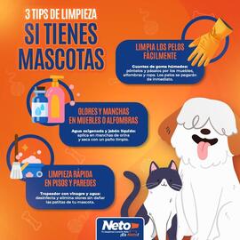 Catálogo Tiendas Neto Página 1