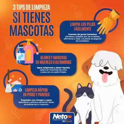 Catálogo Tiendas Neto (válido hasta 31-05)