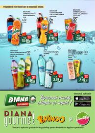 Catalog Diana Supermarket Pagină 10