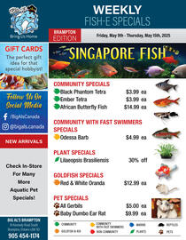 Big Al's Pets flyer week 19 Page 1