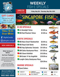 Big Al's Pets flyer week 19 Page 1