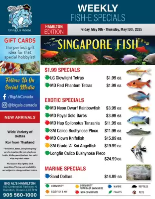 Big Al&#x27;s Pets flyer (valid until 15-05)
