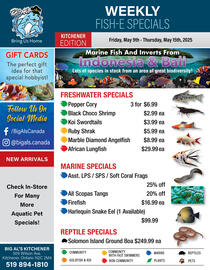Big Al's Pets flyer week 19 Page 1