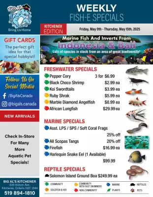Big Al&#x27;s Pets flyer (valid until 15-05)
