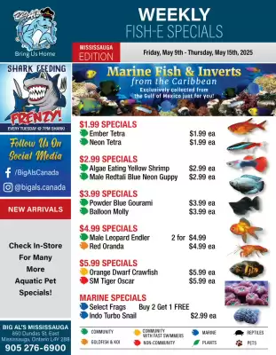 Big Al&#x27;s Pets flyer (valid until 15-05)
