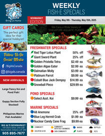 Big Al's Pets flyer week 19 Page 1