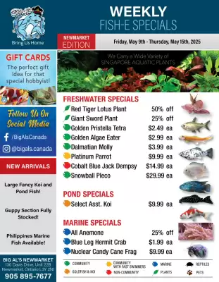 Big Al&#x27;s Pets flyer (valid until 15-05)