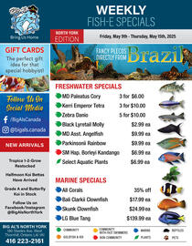 Big Al's Pets flyer week 19 Page 1