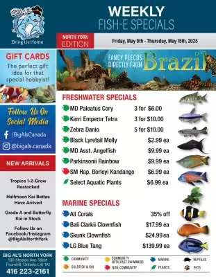 Big Al&#x27;s Pets flyer (valid until 15-05)
