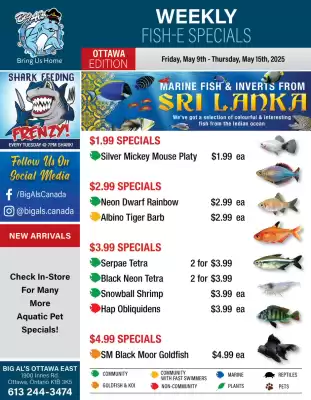 Big Al&#x27;s Pets flyer (valid until 15-05)