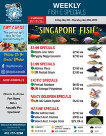Big Al's Pets flyer week 19 Page 1