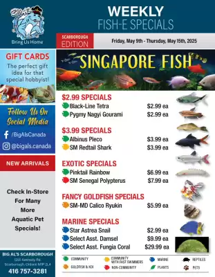 Big Al&#x27;s Pets flyer (valid until 15-05)