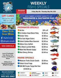 Big Al's Pets flyer week 19 Page 1