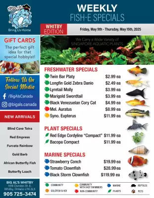 Big Al&#x27;s Pets flyer (valid until 15-05)