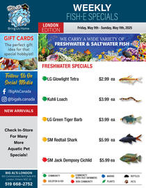 Big Al's Pets flyer week 19 Page 1