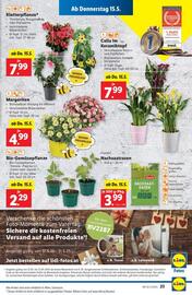 Lidl Flugblatt woche 20 Seite 26