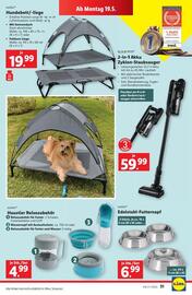 Lidl Flugblatt woche 20 Seite 34