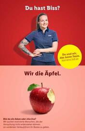 Lidl Flugblatt woche 20 Seite 46