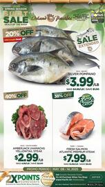 Island Pacific Market Weekly Ad Page 3