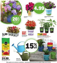 Meijer Weekly Ad week 20 Page 2