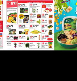Martin's Weekly Ad week 19 Page 5