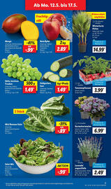 Lidl Prospekt woche 20 Seite 3