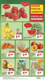 Famila Nord West Prospekt woche 20 Seite 5