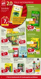 Sonderpreis Baumarkt Prospekt woche 20 Seite 6